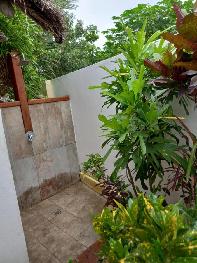 Hotel Casa Camaleao Gekko Cottadge Praia do Praia do Tofo Zewnętrze zdjęcie